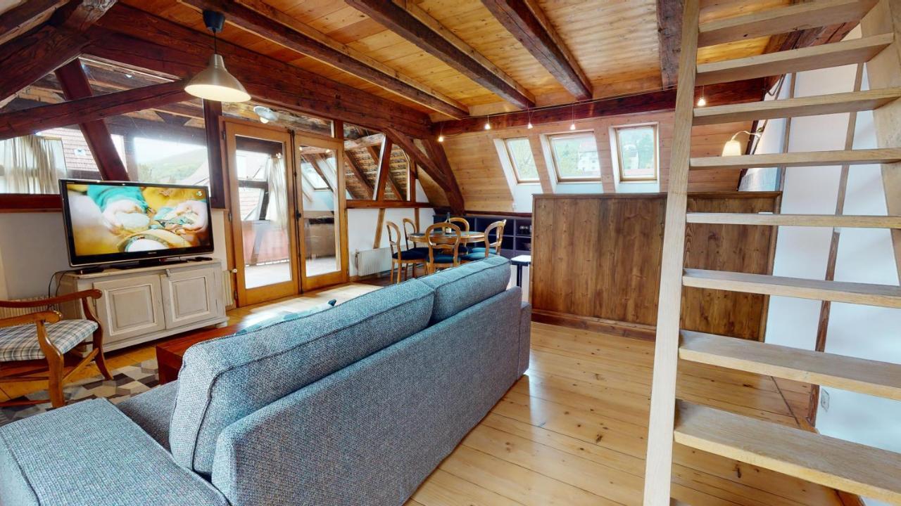 Les Appartements Manala - Turckheim Ngoại thất bức ảnh